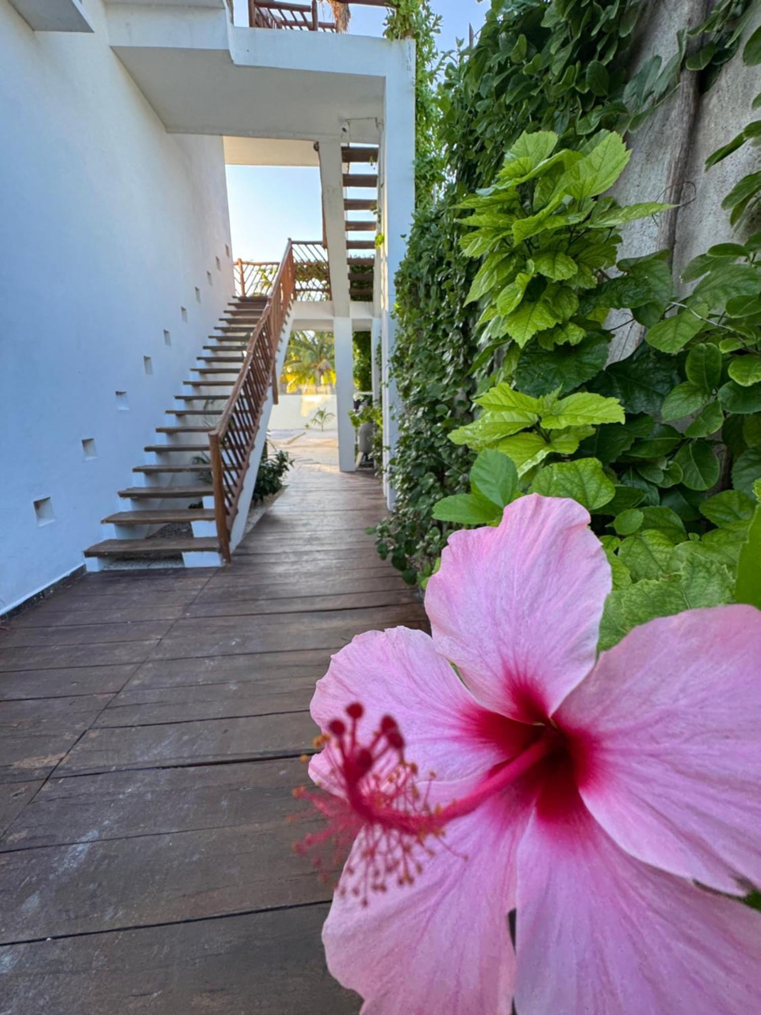 Mexhe Hotel El Cuyo Exterior photo